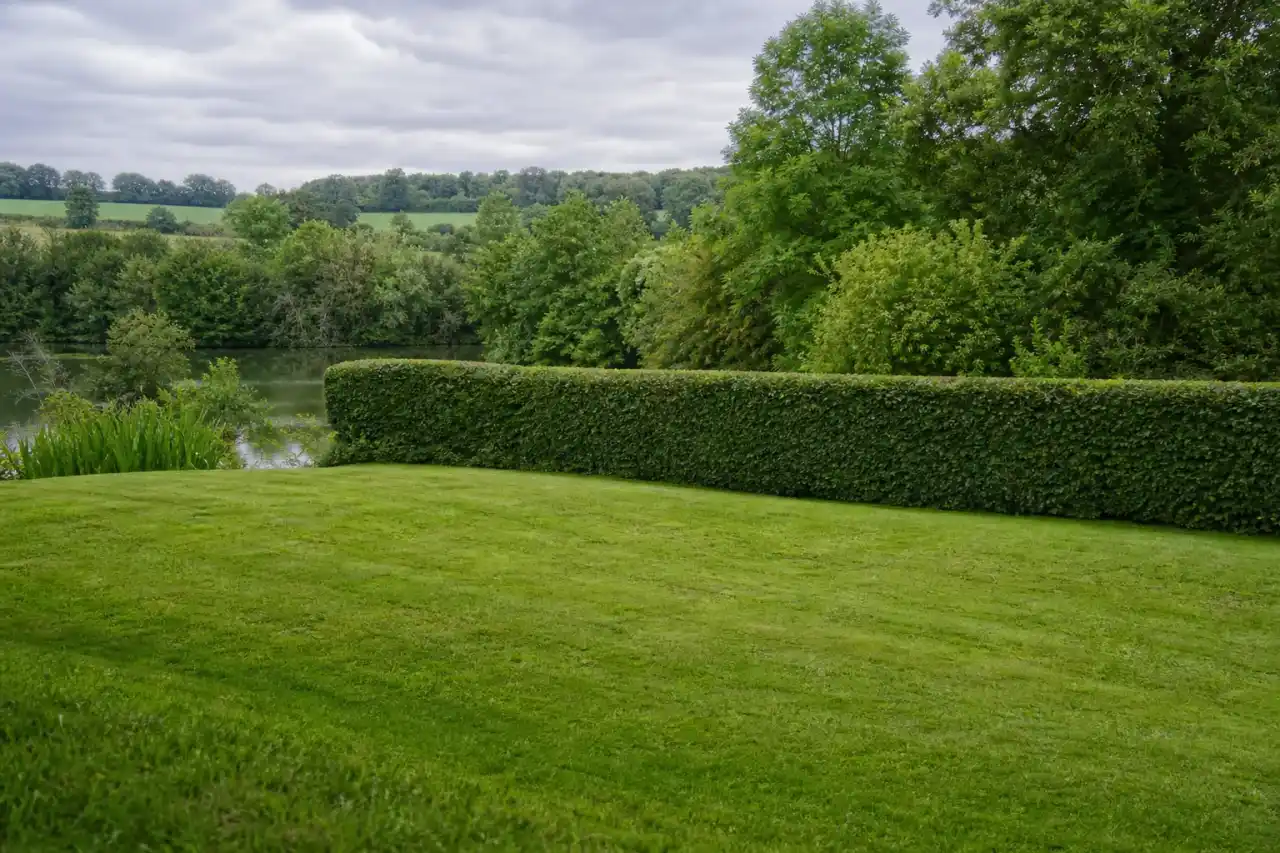 Jardin de particulier à Ardentes en bord d'Indre, pelouse fraîche fraîchement tondue et haie de charmille taillée, lumière douce de vallée, cadrage large au ras du sol montrant la ligne de bocage en arrière-plan.