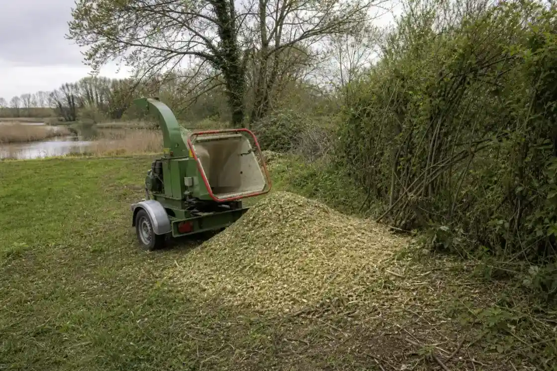 Broyeur de branches en action près d'une haie bocagère de l'Indre, tas de paillage frais au sol, ambiance humide et roselière du Berry au loin.