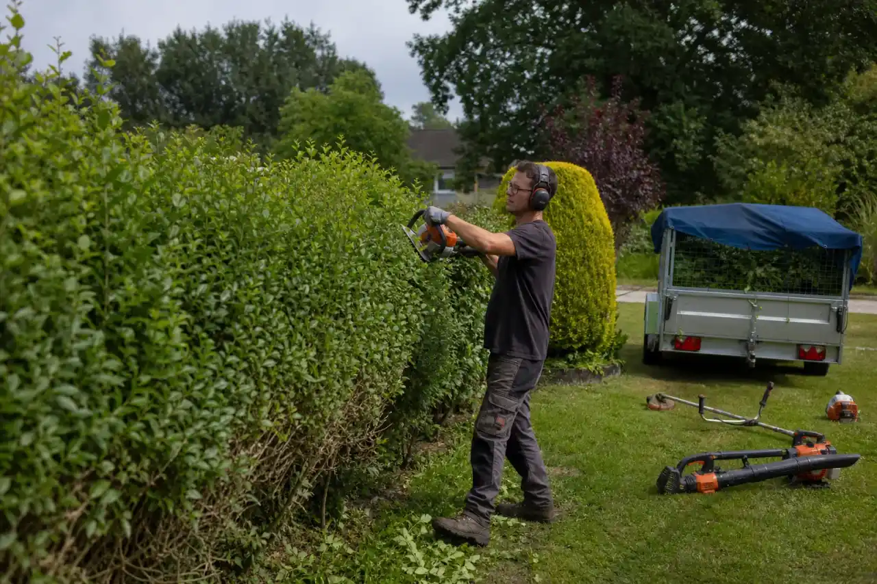 Jardinier taillant une haie à hauteur d'homme dans un jardin castelroussin, remorque bâchée de déchets verts visible en arrière-plan, matériel professionnel posé au sol.