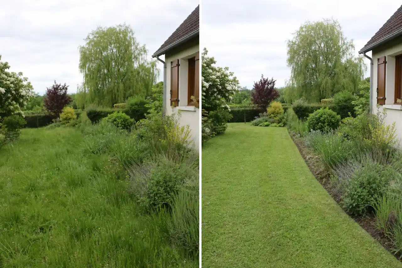 Bande avant/après d'un même jardin de faubourg castelroussin : à gauche pelouse haute et massif envahi, à droite pelouse tondue net et bordure au cordeau, même angle, même lumière.