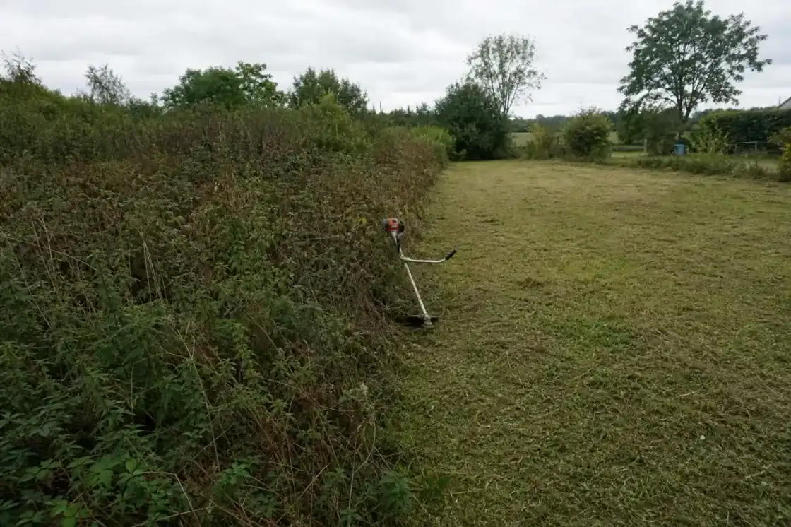 Fond de parcelle repris : à gauche ronces et friche, à droite terrain fauché et lisible prêt à être engazonné, débroussailleuse posée sur la ligne de partage.