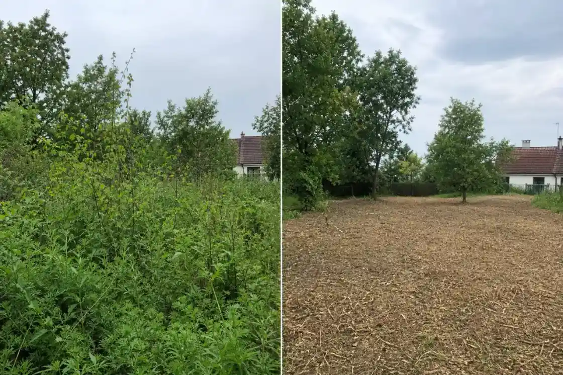 Avant-après d'une friche castelroussine : à gauche broussailles et jeunes ligneux, à droite terrain remis à plat avec les déchets verts broyés en paillage.